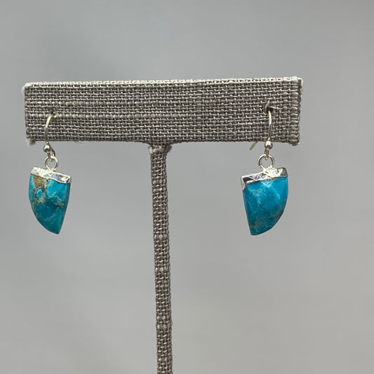 Faceted Turquoise Earrings